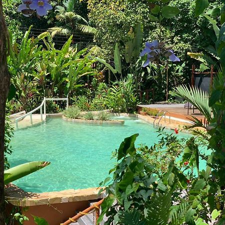 Rana Roja Lodge Tortuguero Eksteriør bilde