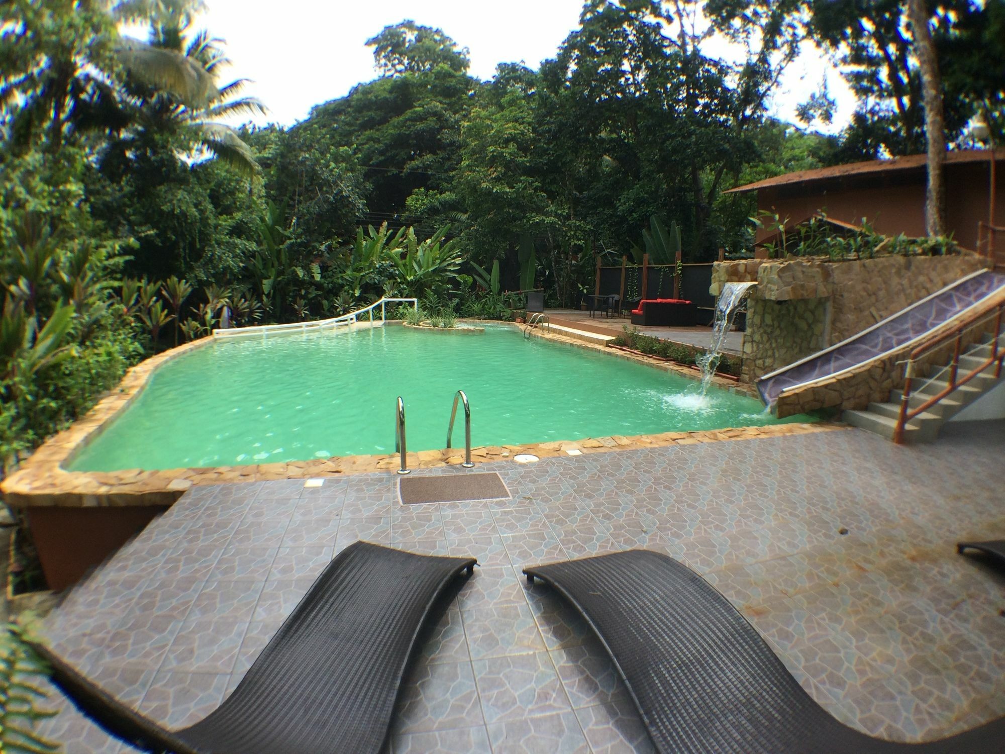 Rana Roja Lodge Tortuguero Eksteriør bilde