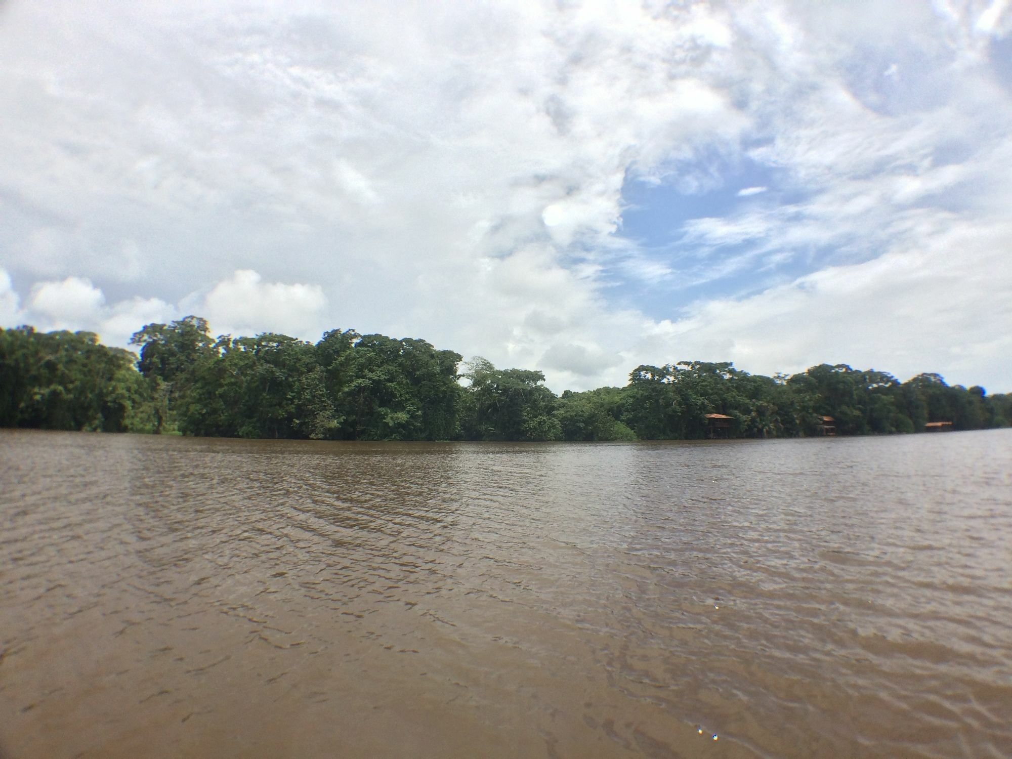 Rana Roja Lodge Tortuguero Eksteriør bilde