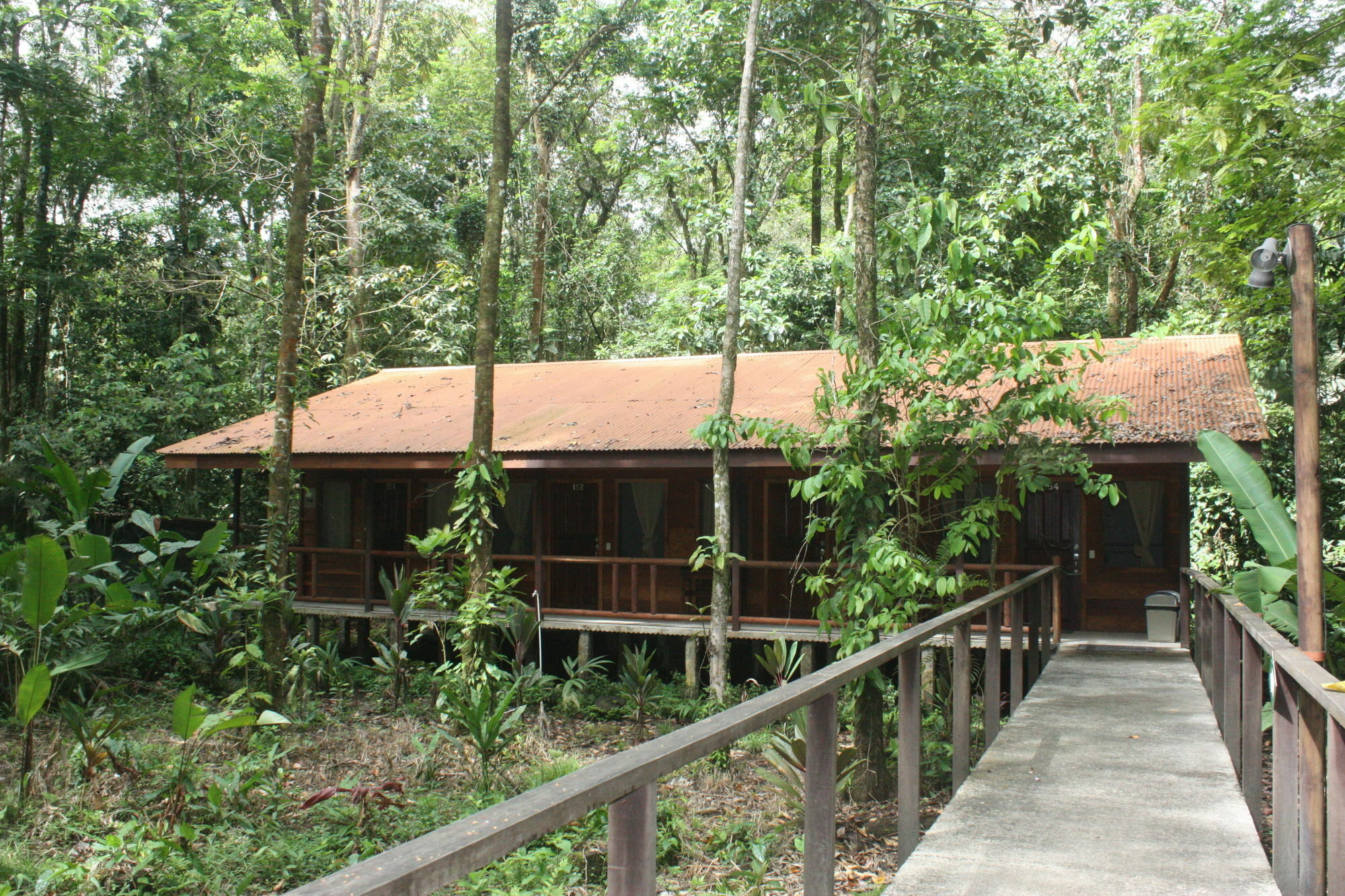 Rana Roja Lodge Tortuguero Eksteriør bilde